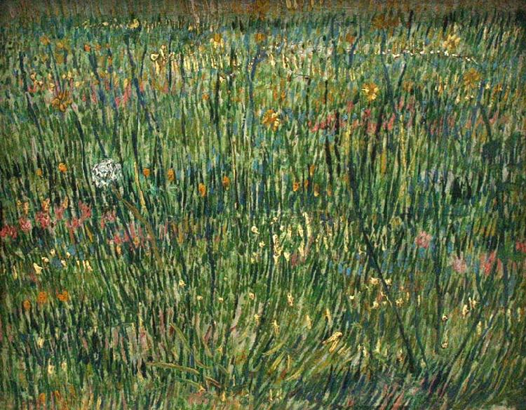 Vincent Van Gogh Patch of Grass Spain oil painting art